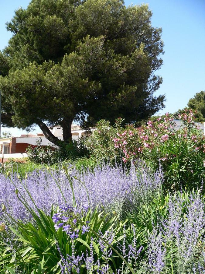 "Bien Vivre Ensemble" Aux Marches Du Soleil - Chambres Privees Chez L'Habitant Dans Appartement Partage Сет Екстериор снимка